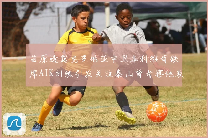 苗原透露克罗地亚中卫本科维奇缺席AIK训练引发关注泰山曾考察他表现